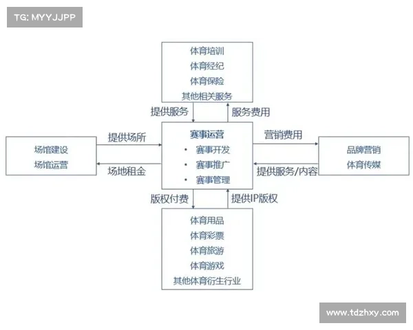 体育赛事申办报告流程