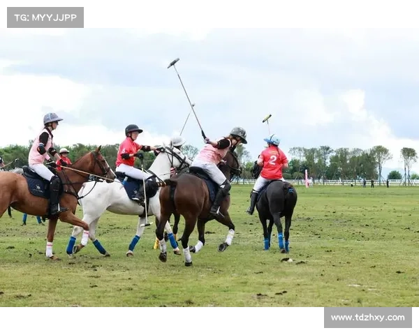 各大赛事网全球顶尖赛事一网打尽精彩不容错过