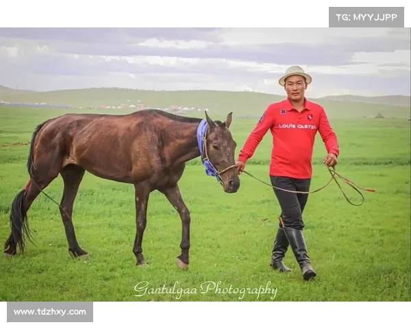 大型赛马比赛 沉浸式体验大马赛事全程跟踪实时更新赛事数据畅享观赛乐趣无边